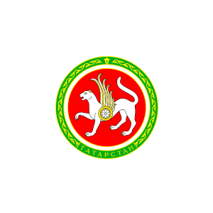 The Department of Health of the Republic of Tatarstan,  